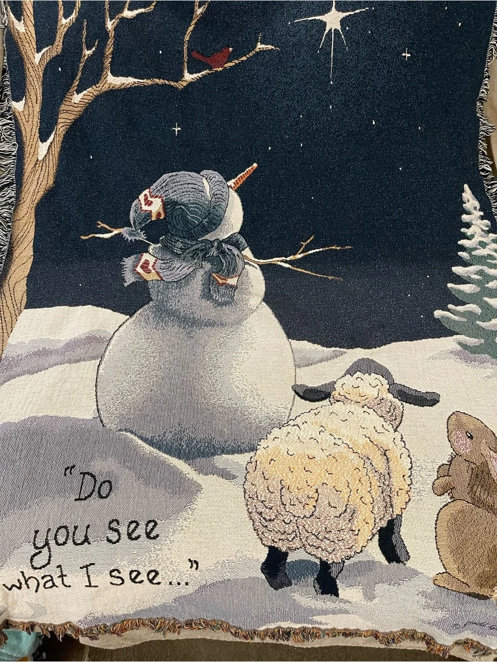 Christmas “Do You See What I See
